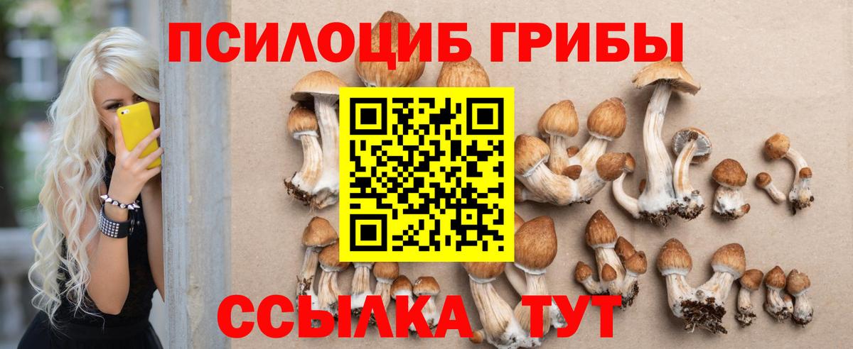 Галлюциногенные грибы Magic Shrooms Кирово-Чепецк