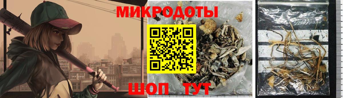 Кирово-Чепецк  Галлюциногенные грибы Cubensis  Вход с VPN 